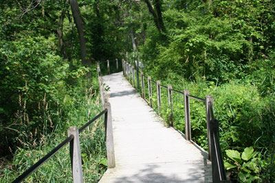 Marshall's Riverwalk